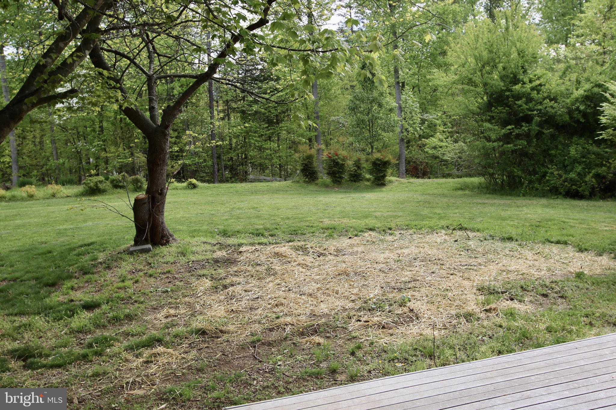 7437 Leeds Manor Road Marshall, VA 20115 - Photo 15 of 16 Front Yard