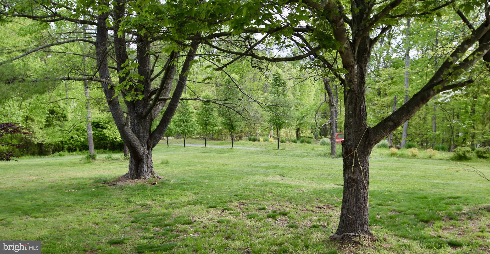 7437 Leeds Manor Road Marshall, VA 20115 - Photo 3 of 16 Nice Back Yard