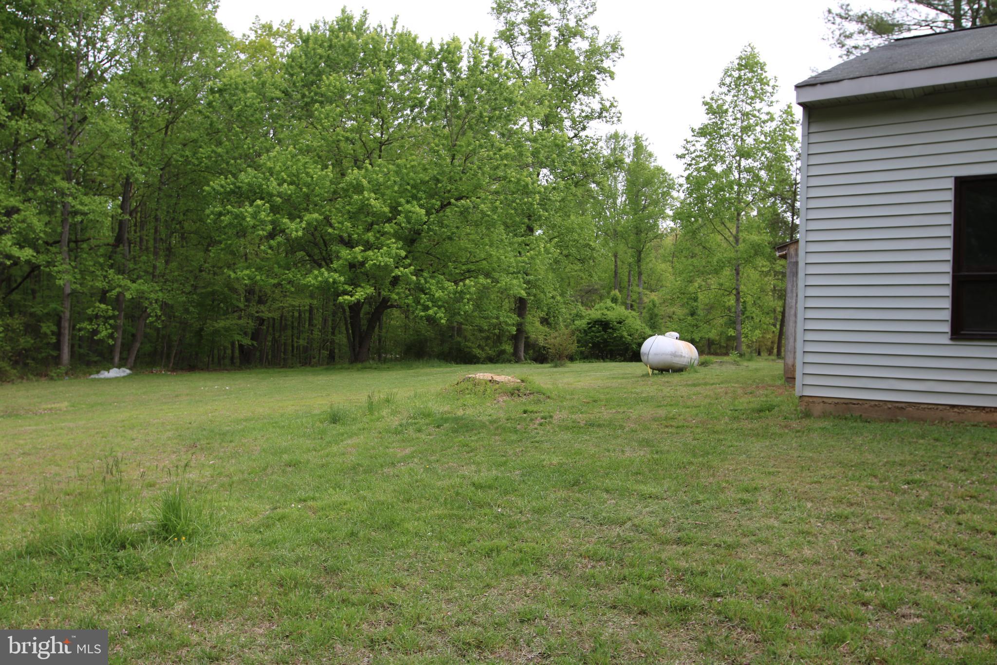 7437 Leeds Manor Road Marshall, VA 20115 - Photo 10 of 16 Side Yard