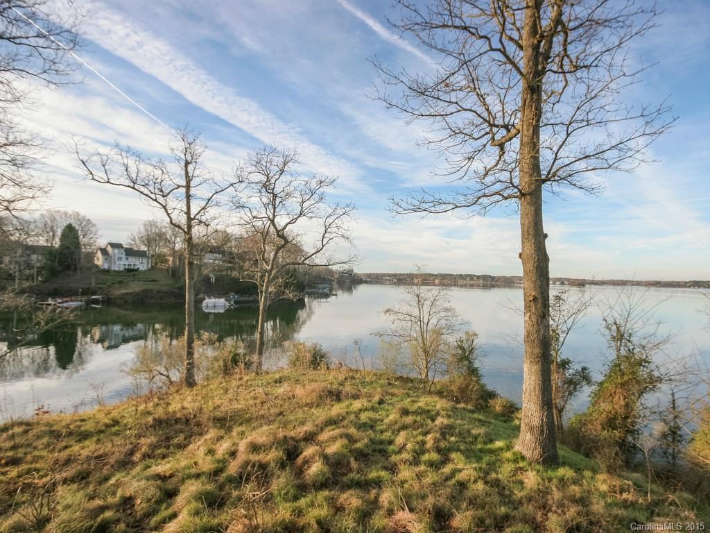 8016 Kiwi Point Tega Cay, SC 29708 - Photo 14 of 16