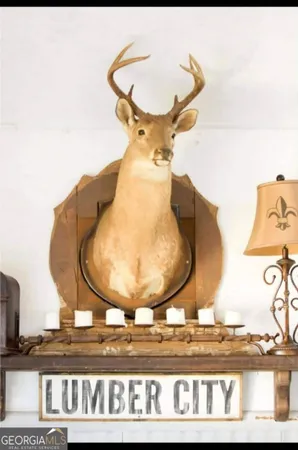 $489,000 | 11 Shortcut Road, Lumber City, GA 31549