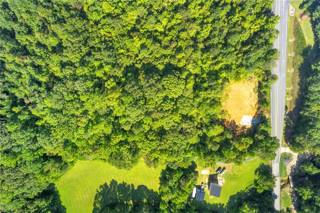 167 Cherokee Trail Easley, SC 29640 - Photo 16 of 18 A verdant woodland expanse borders a main road, offering a prime setting for development.
