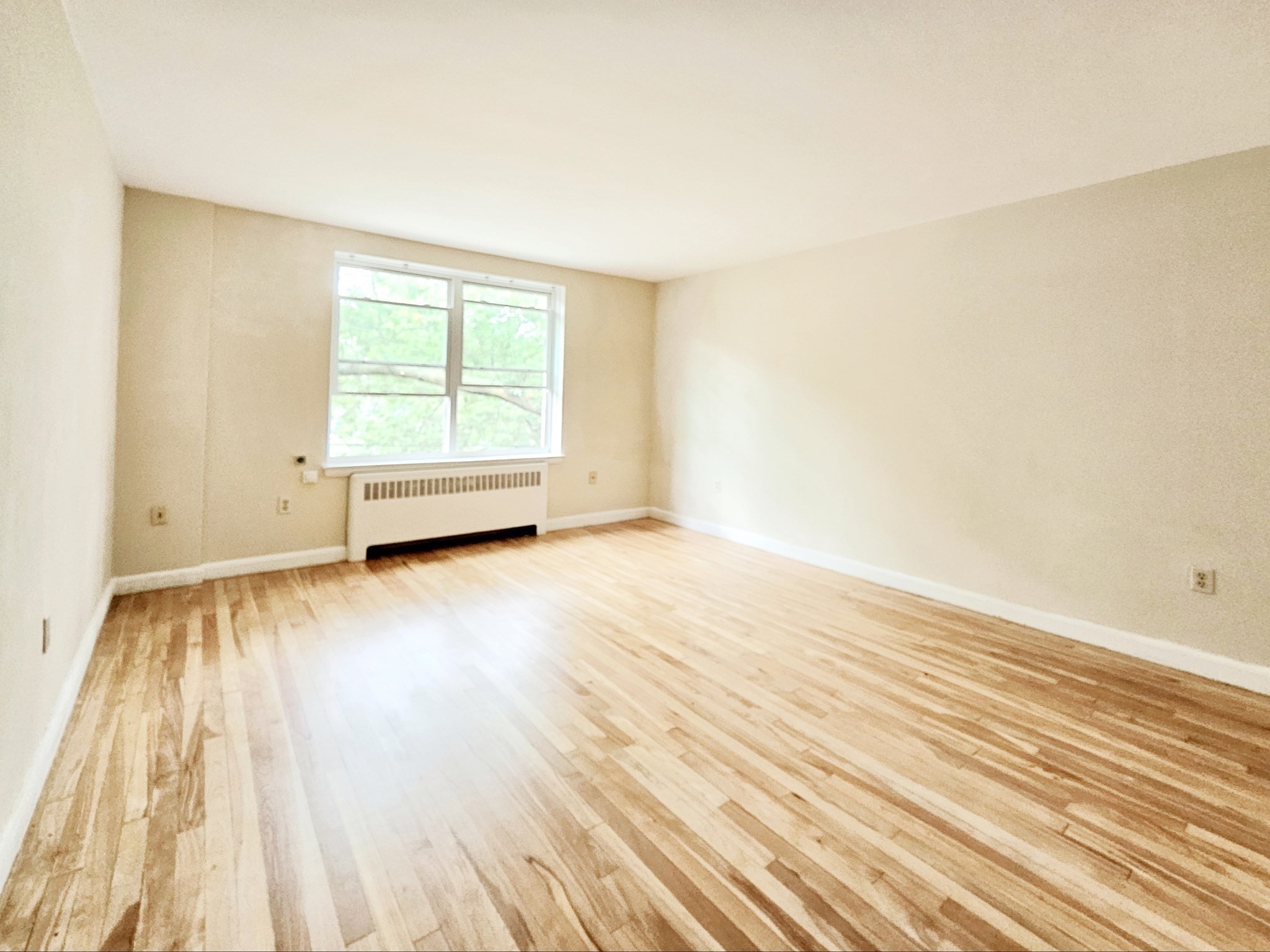 42 Dean Road, Unit 5 Brookline, MA 02445 - Photo 2 of 4 Gallery Image 2