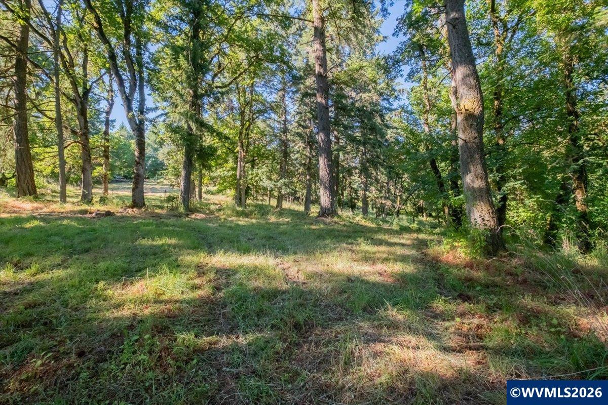 10102 Liberty Road South Salem, OR 97306 - Photo 45 of 49