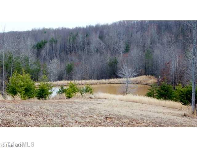 165 Goins School Road Mayodan, NC 27027 - Photo 16 of 16 View.