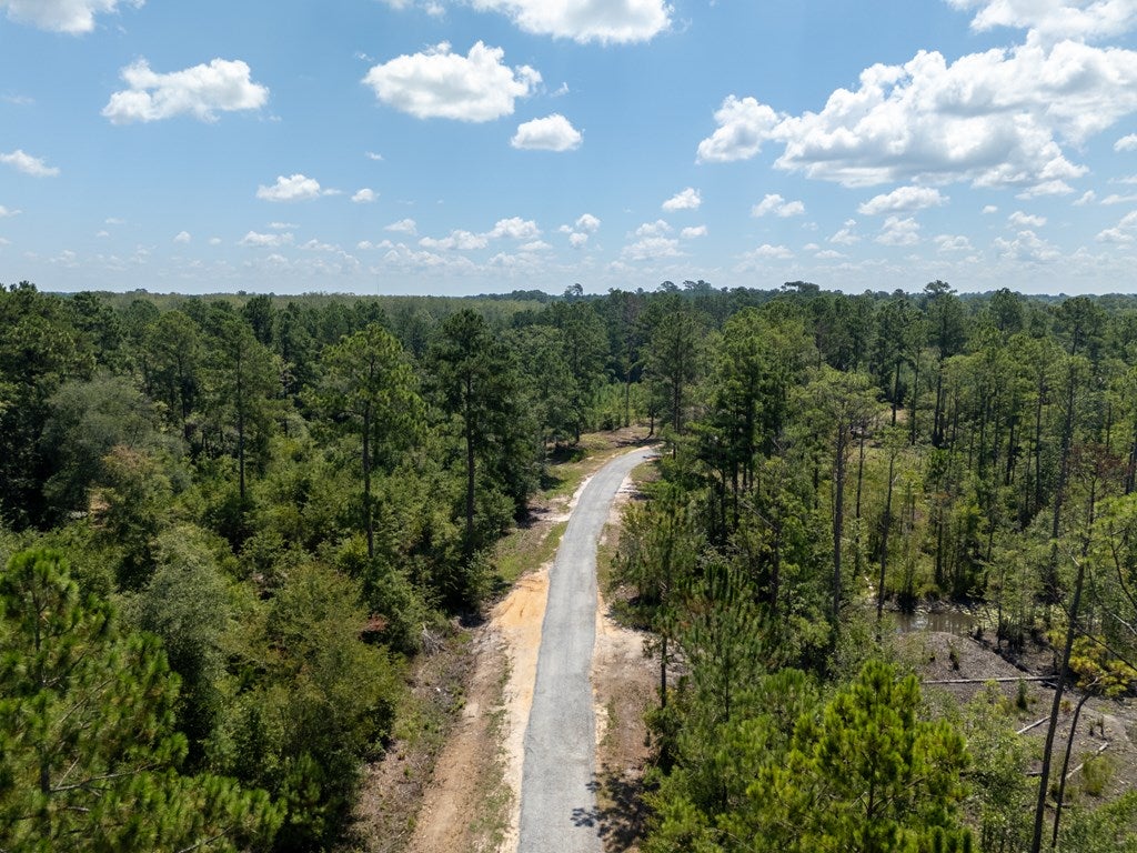 0 Union Road Hahira, GA 31632 - Photo 5 of 49 Gallery Image 5