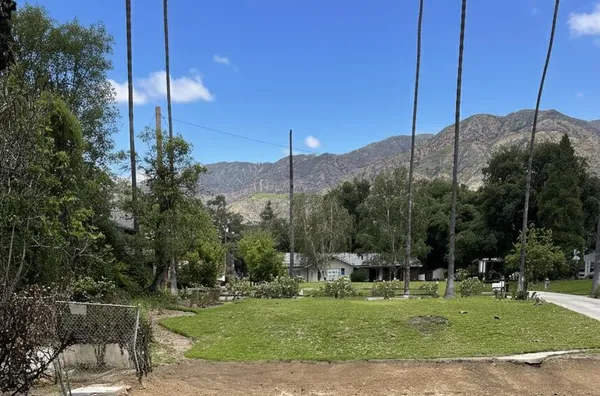 a view of a garden