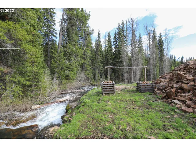 a view of a bench in the middle of a forest