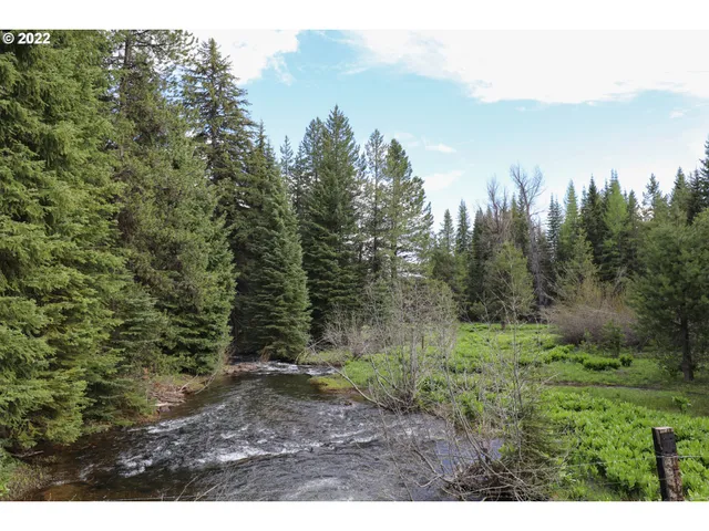 a view of a yard with trees in the background