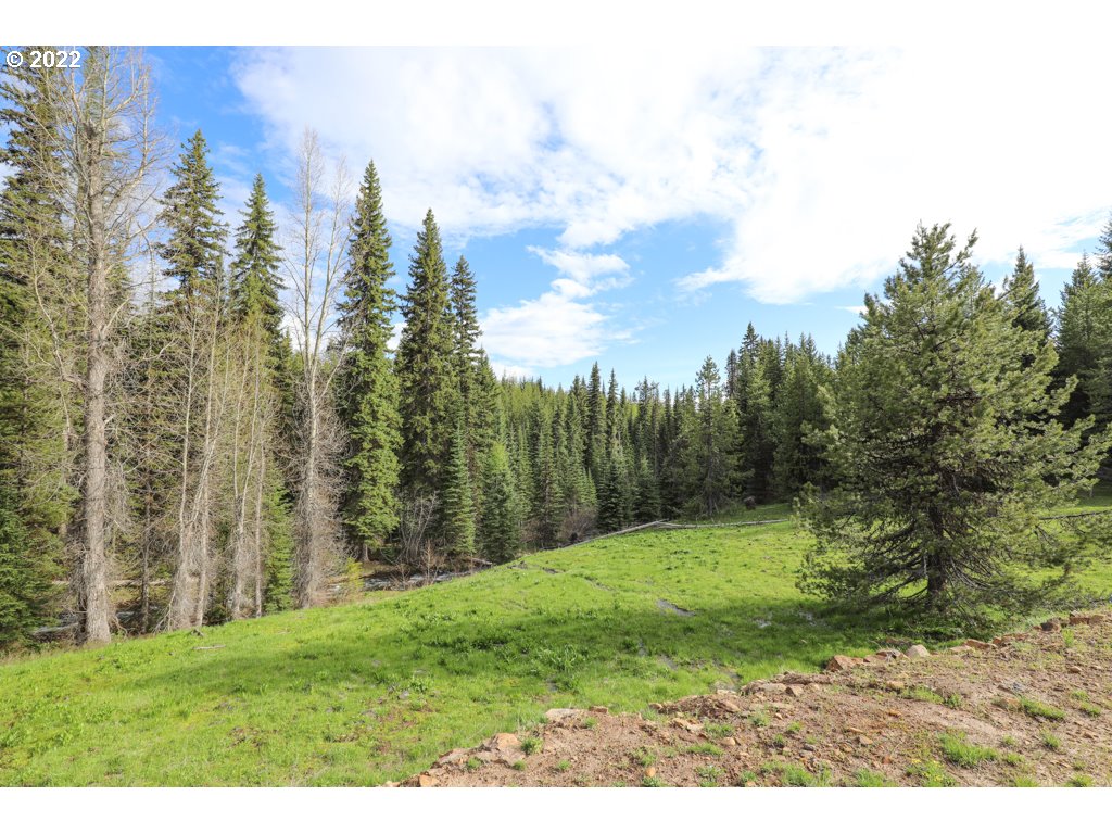 79250 Lookout Mountain Road Elgin, OR 97827 - Photo 21 of 28 a view of a yard with a trees