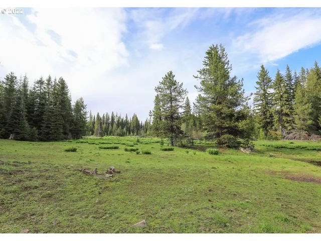 a view of an outdoor space and a yard