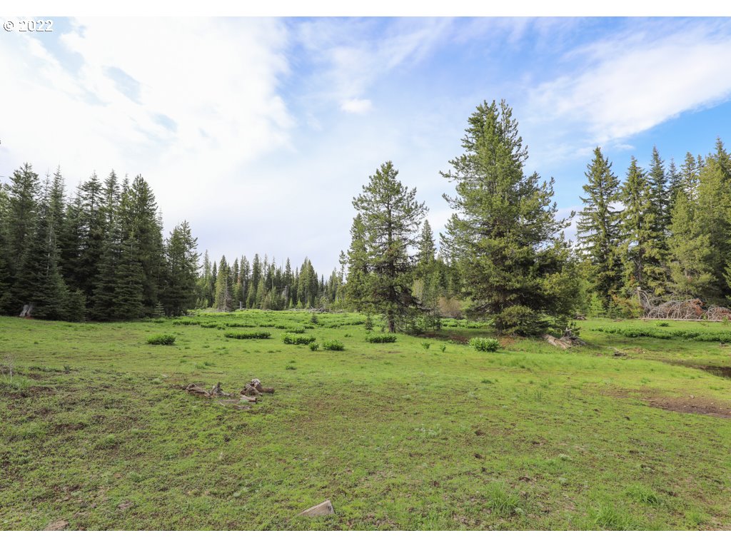 79250 Lookout Mountain Road Elgin, OR 97827 - Photo 23 of 28 a view of an outdoor space and a yard