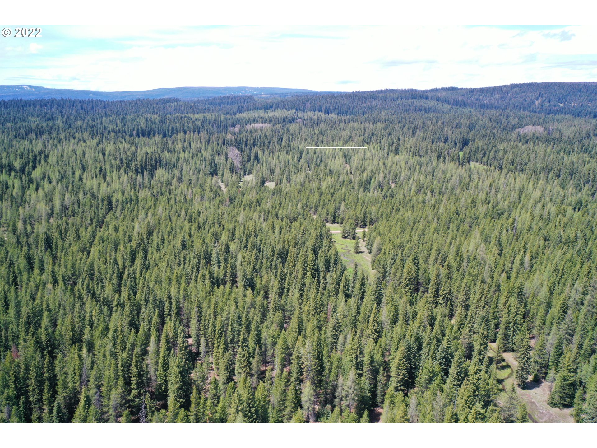 79250 Lookout Mountain Road Elgin, OR 97827 - Photo 27 of 28 a view of a lush green hillside and a view of mountains