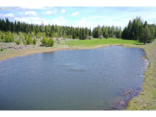 a view of outdoor space yard and mountain view in back