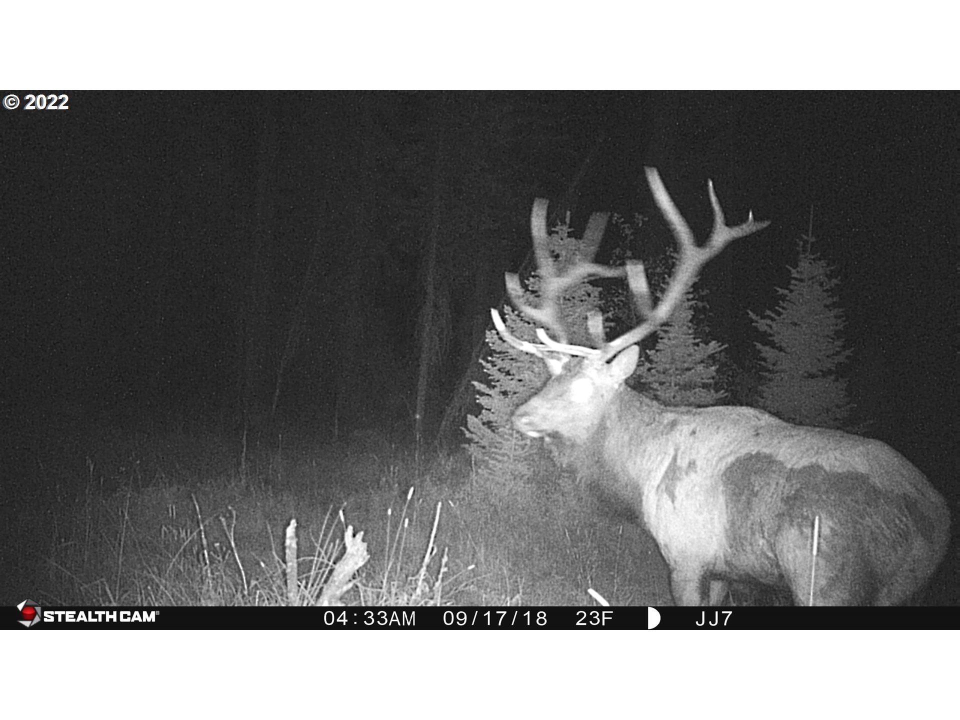 79250 Lookout Mountain Road Elgin, OR 97827 - Photo 5 of 28 a black and white photo of a room