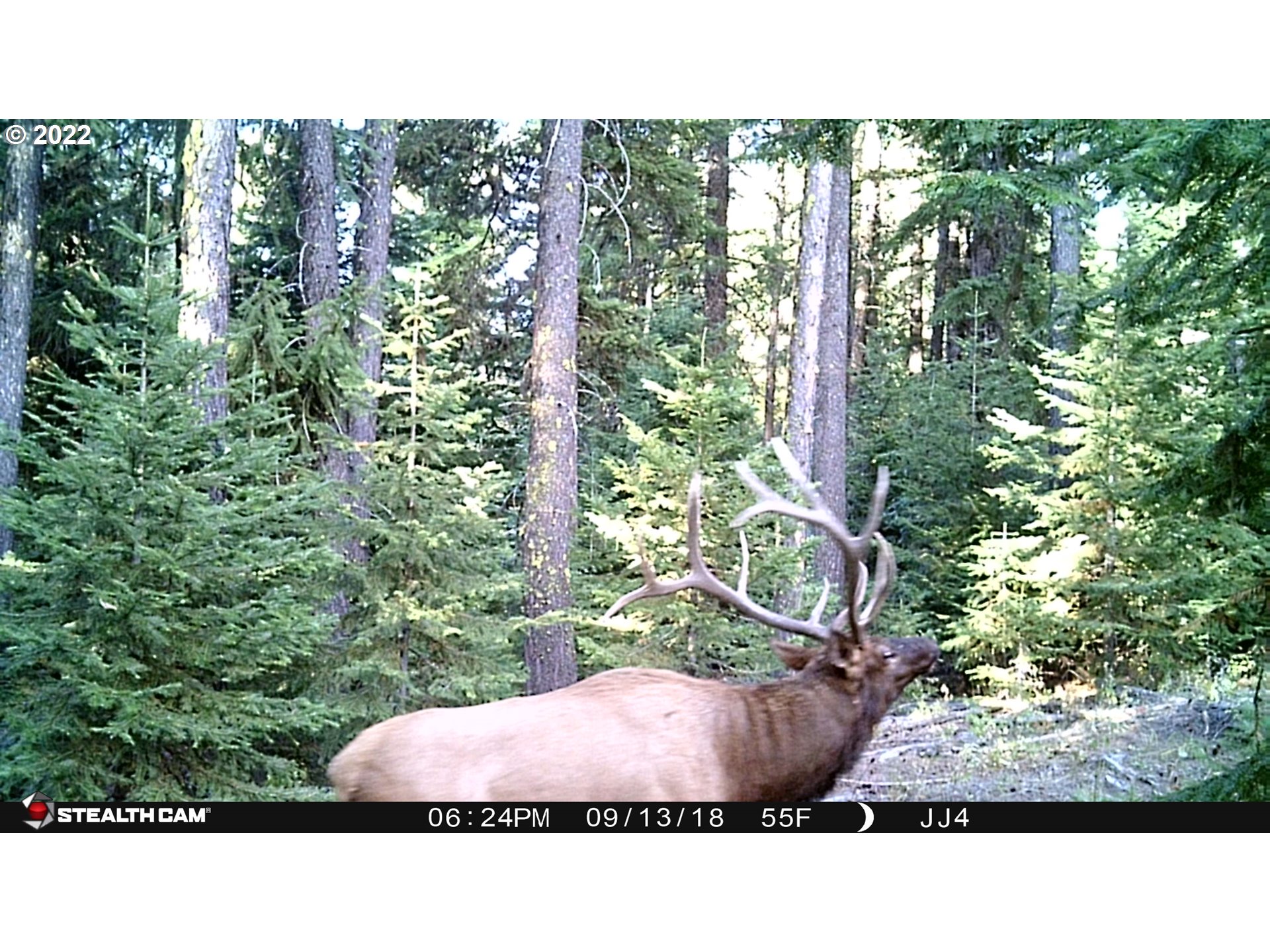 79250 Lookout Mountain Road Elgin, OR 97827 - Photo 6 of 28 a black and white photo of a park