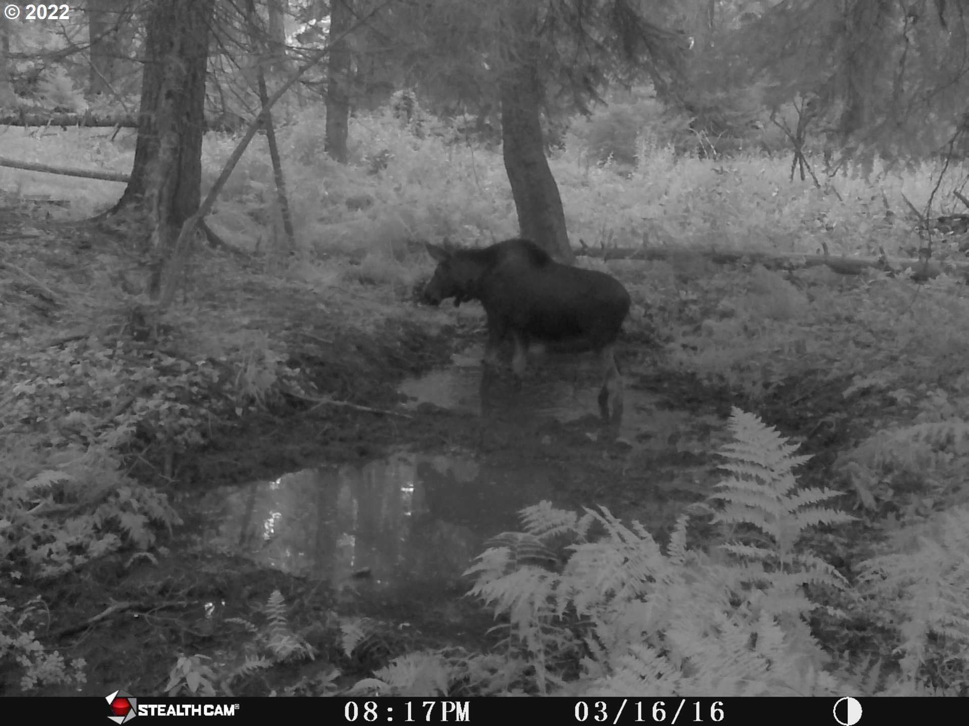 79250 Lookout Mountain Road Elgin, OR 97827 - Photo 9 of 28 a view of outdoor space