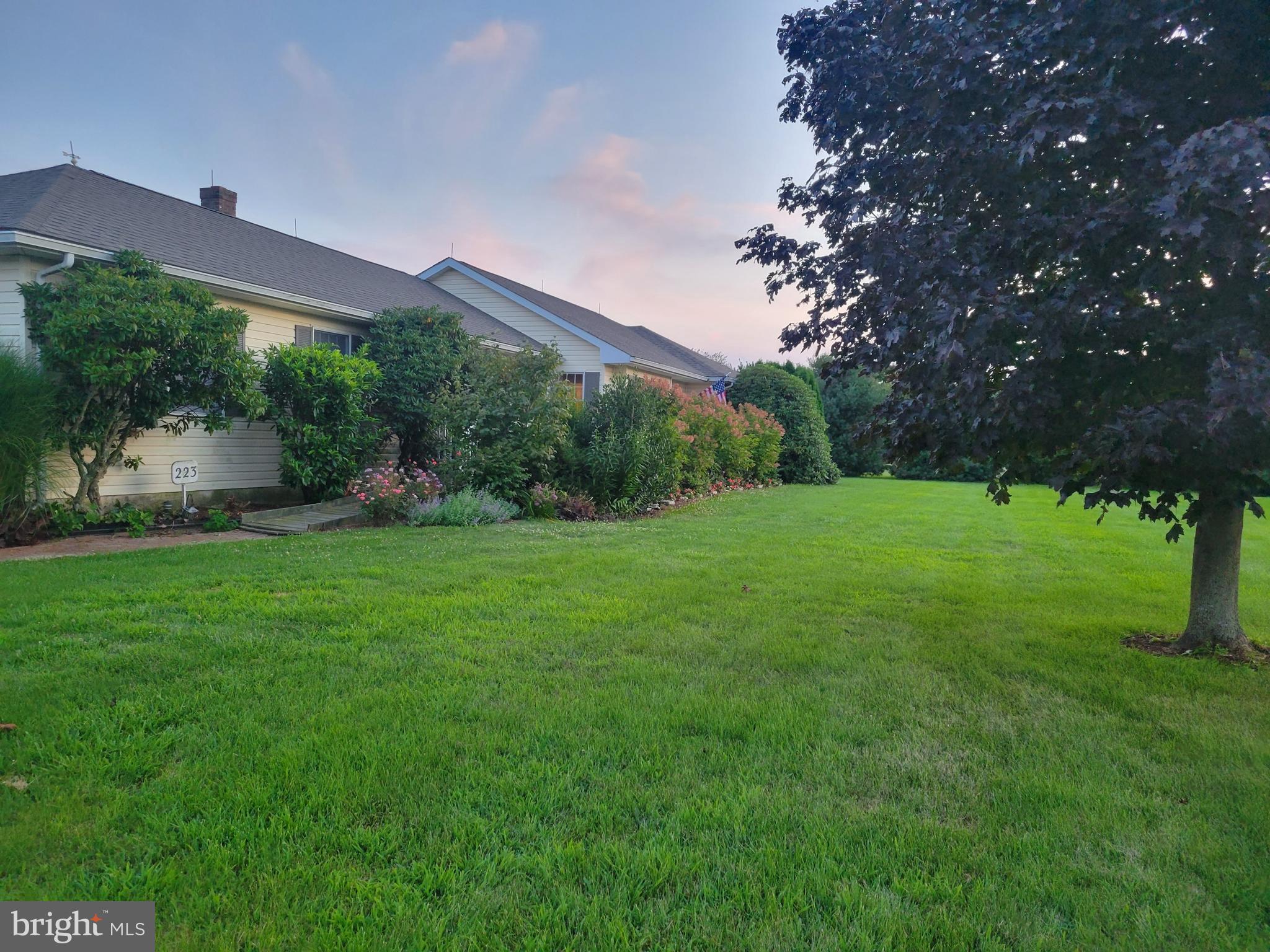 223 Shirley Road Elmer, NJ 08318 - Photo 3 of 6 a backyard of a house with plants and large tree