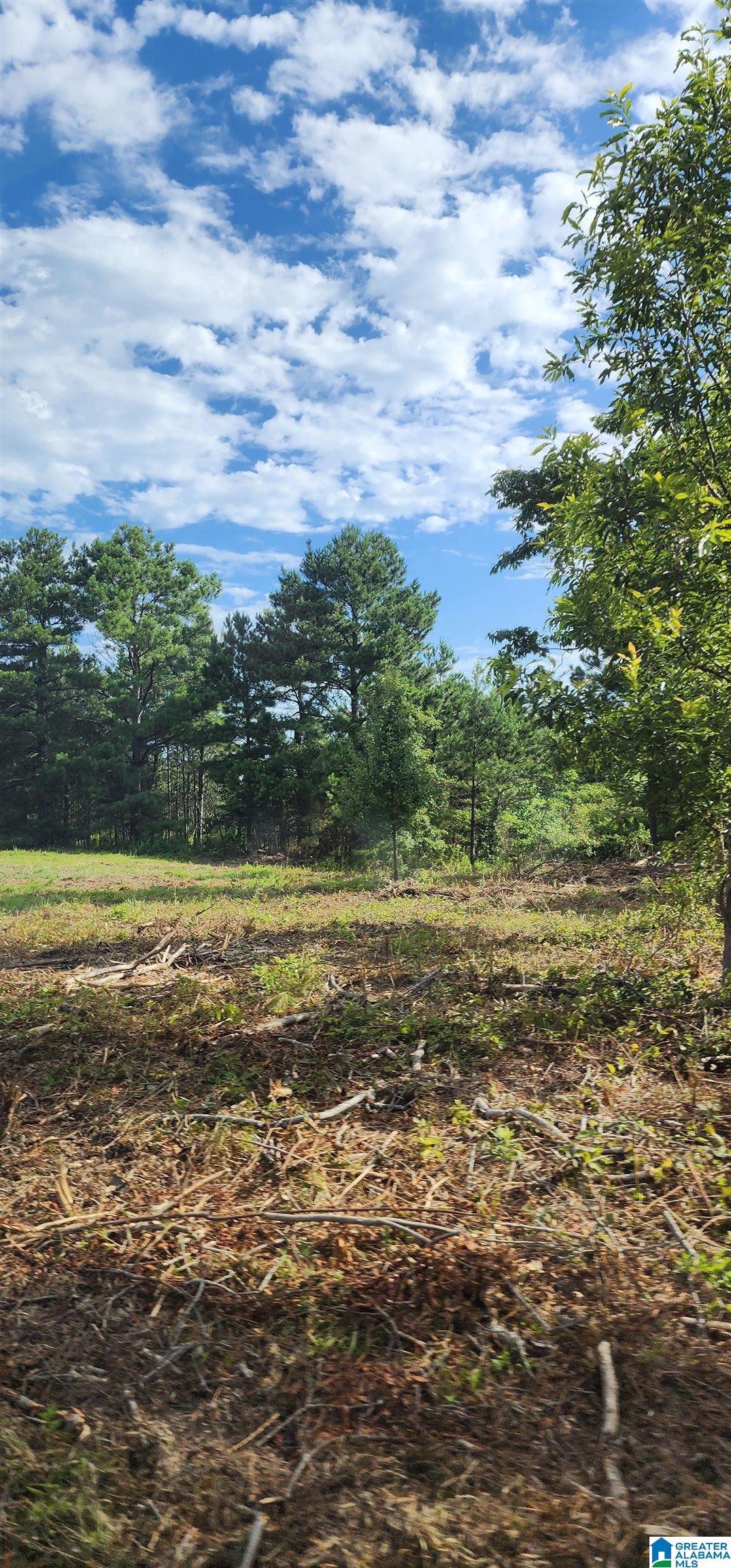 3606 Hicks Road Oneonta, AL 35121 - Photo 61 of 61