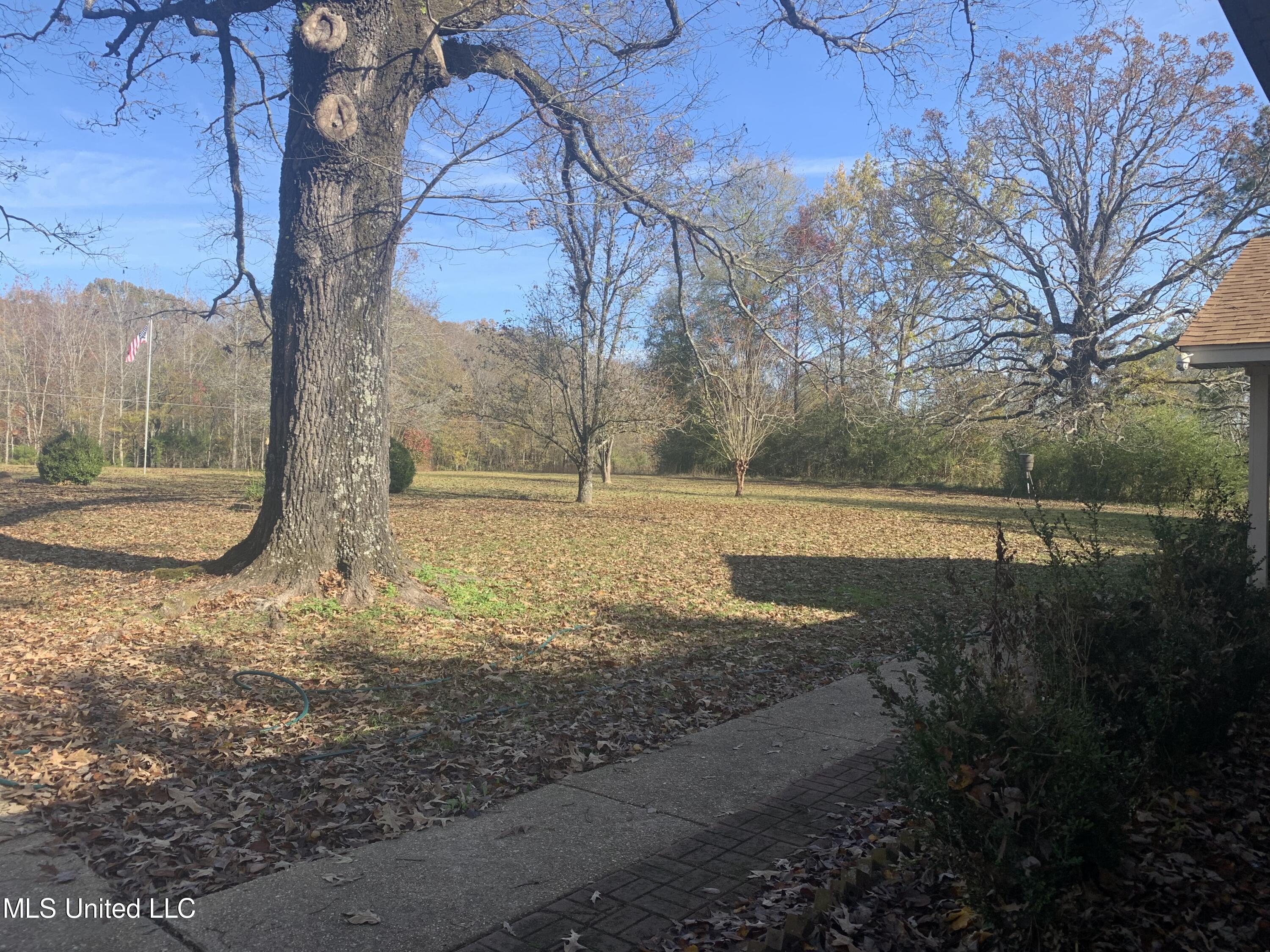 2455 Old Jackson Road Terry, MS 39170 - Photo 18 of 23 IMG-7209