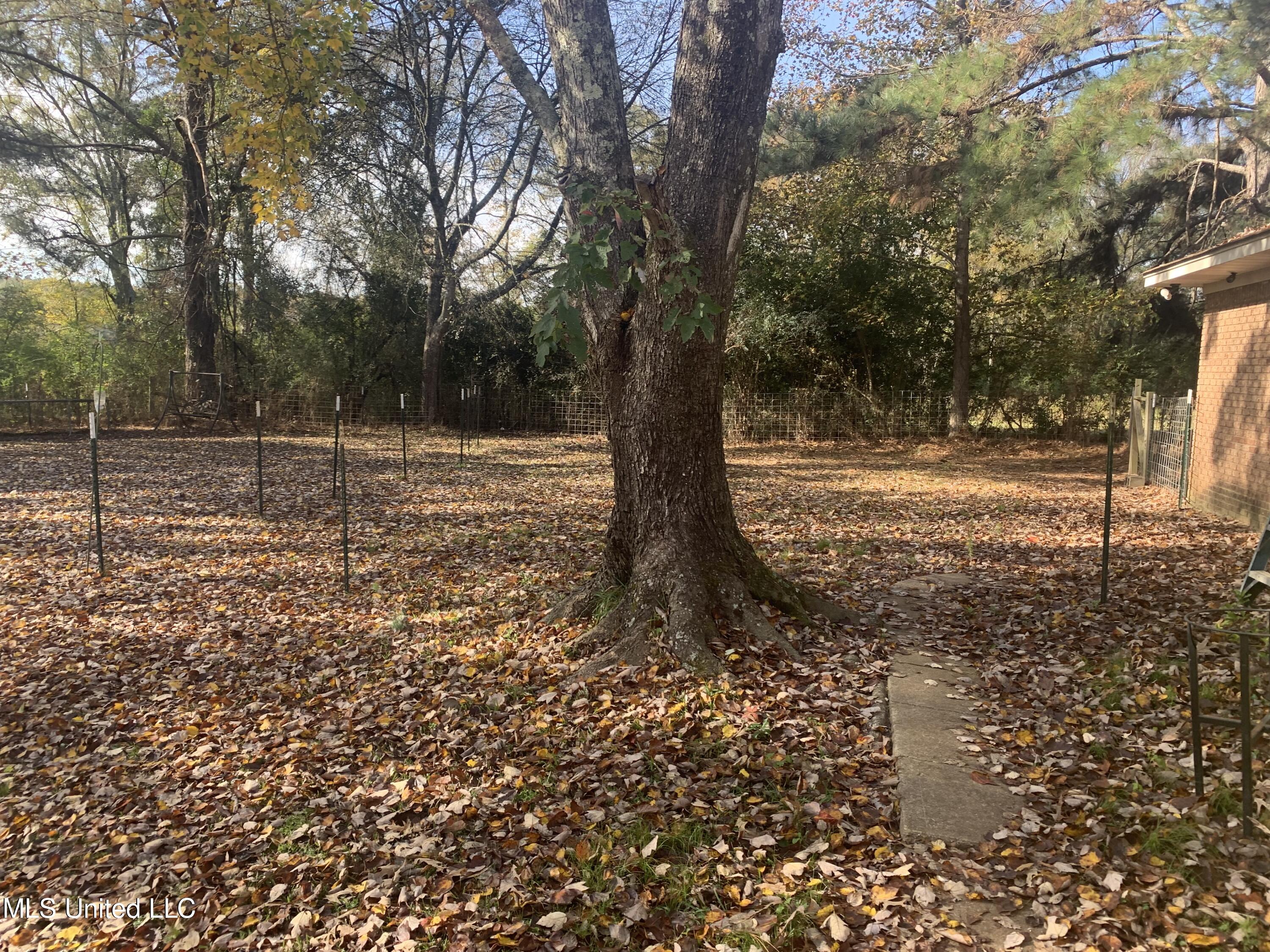2455 Old Jackson Road Terry, MS 39170 - Photo 23 of 23 IMG-7184