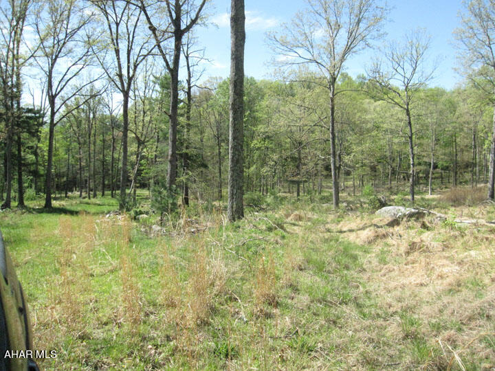 Off North Silver Pine Road Petersburg, PA 16669 - Photo 14 of 29 Gallery Image 14