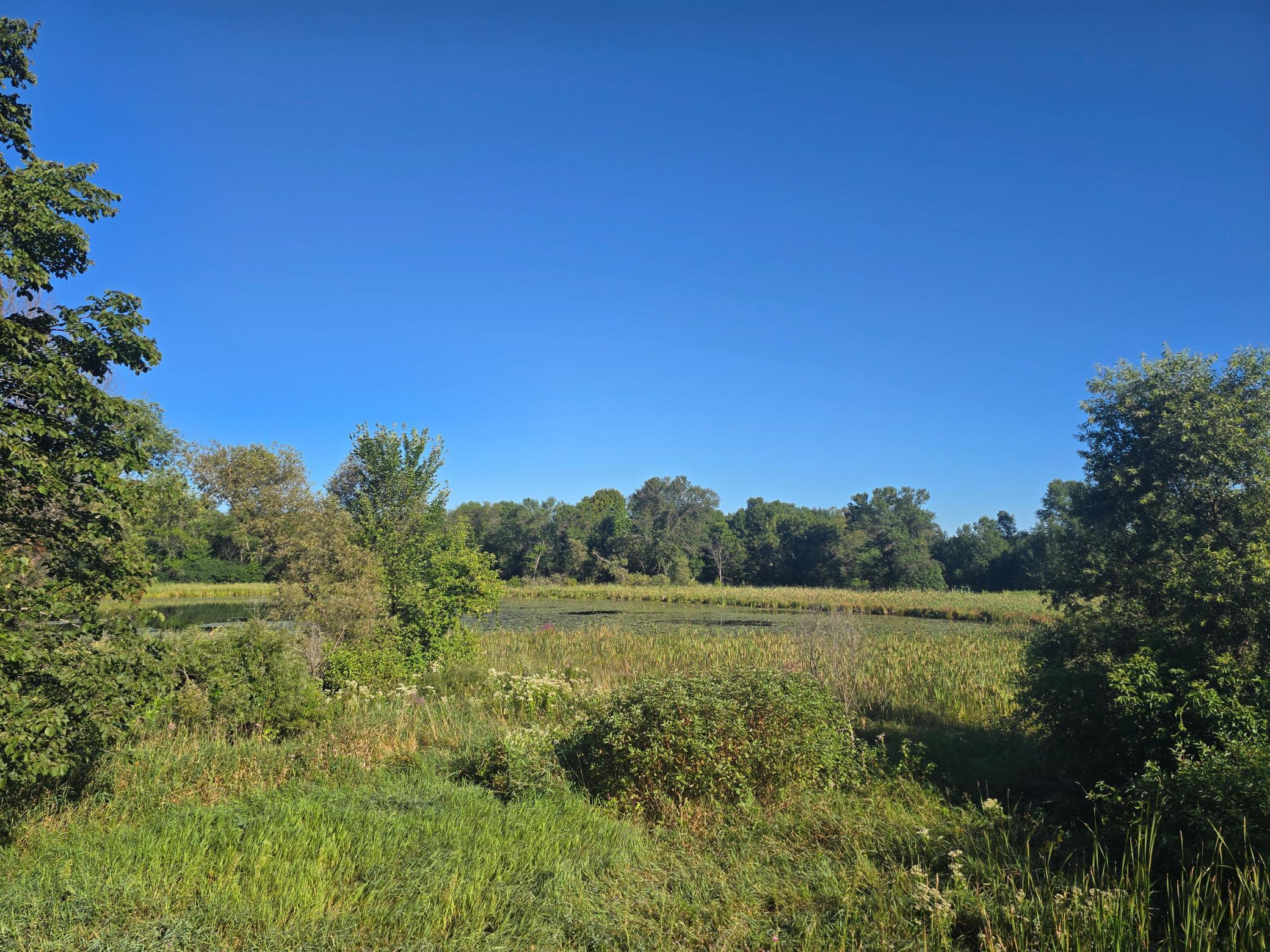 29151 Pleasant Lake Road Underwood, MN 56586 - Photo 11 of 20