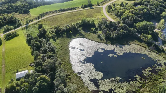 $100,000 | 29151 Pleasant Lake Road, Underwood, MN 56586