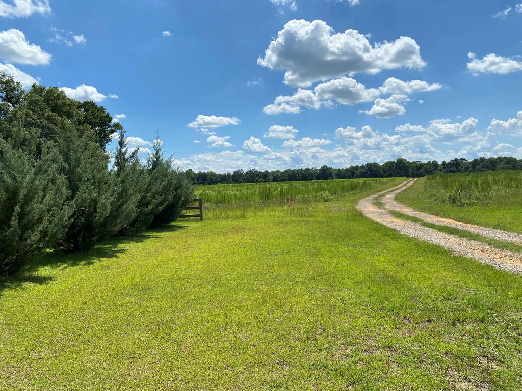 16-ac 16-ac National Road Dothan, AL 36301 - Photo 8 of 45