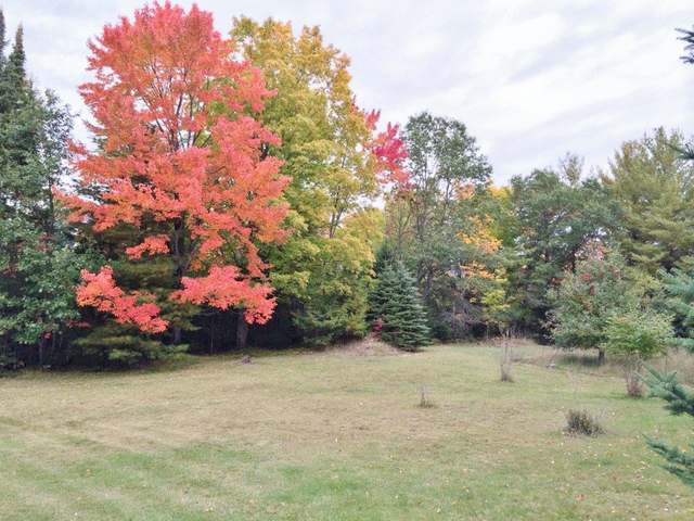 6340 Spider Lake Road Rhinelander, WI 54501 - Photo 11 of 20 Gallery Image 11