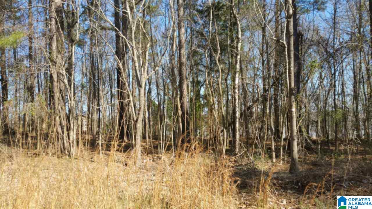 980 Sunset Strip Road, Unit 7 Pell City, AL 35128 - Photo 1 of 6