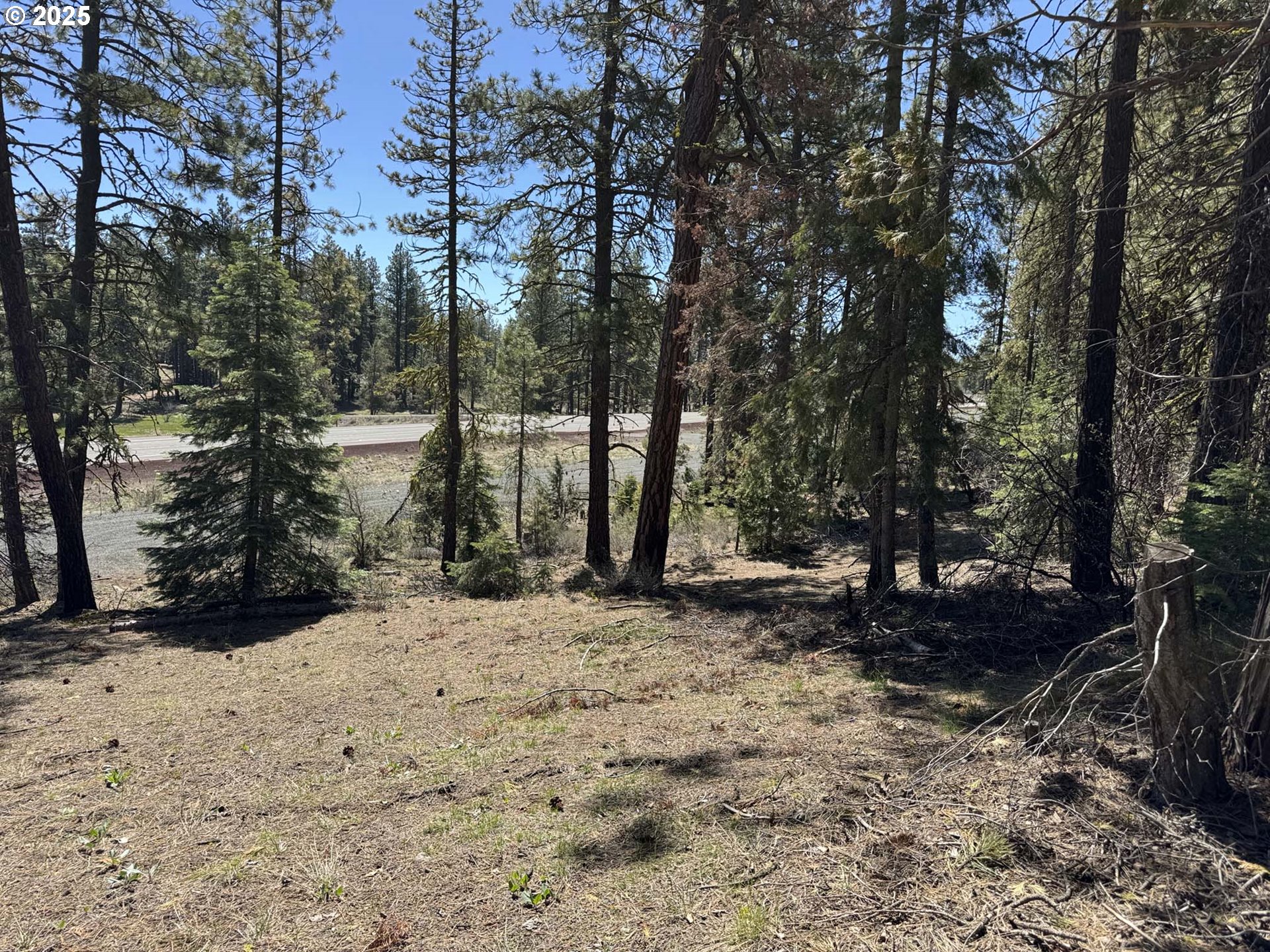 Horned Owl Lane Bonanza, OR 97623 - Photo 2 of 44