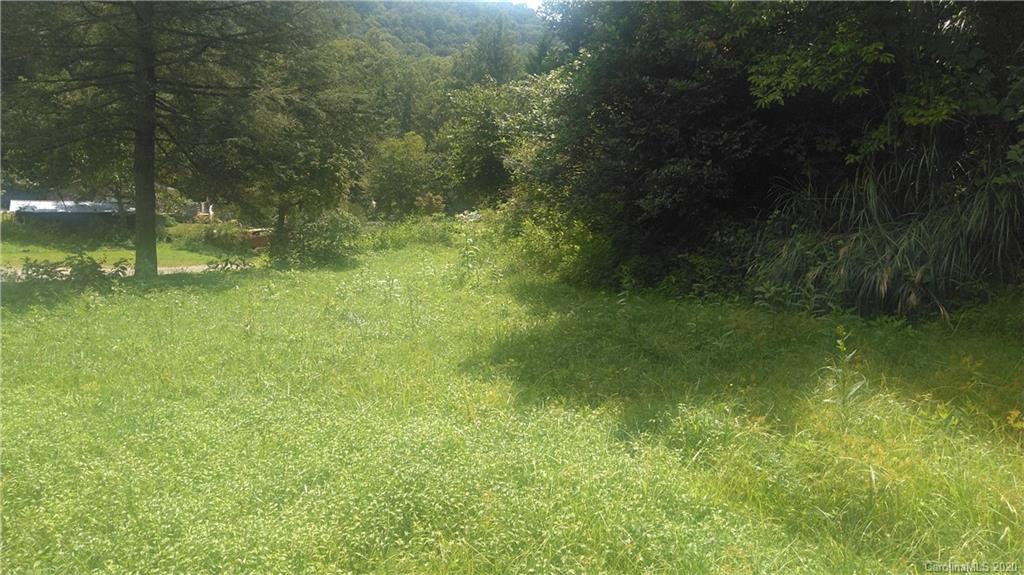 255 Wilds Branch Road Marshall, NC 28753 - Photo 3 of 10 Gallery Image 3