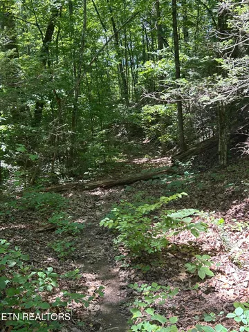 $150,000 | Lower Powdermill Road, Sevierville, TN 37876