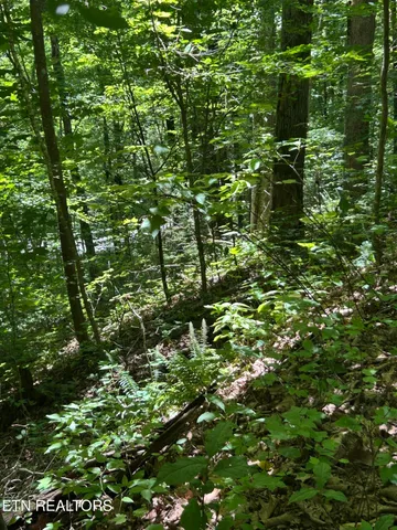 $150,000 | Lower Powdermill Road, Sevierville, TN 37876