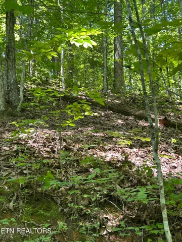 $150,000 | Lower Powdermill Road, Sevierville, TN 37876