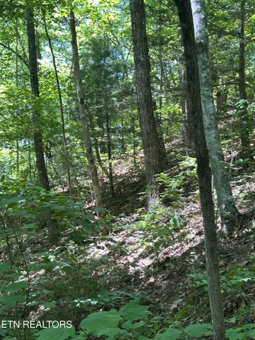 $150,000 | Lower Powdermill Road, Sevierville, TN 37876