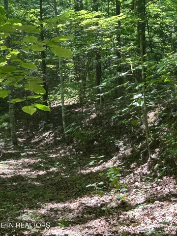 $150,000 | Lower Powdermill Road, Sevierville, TN 37876