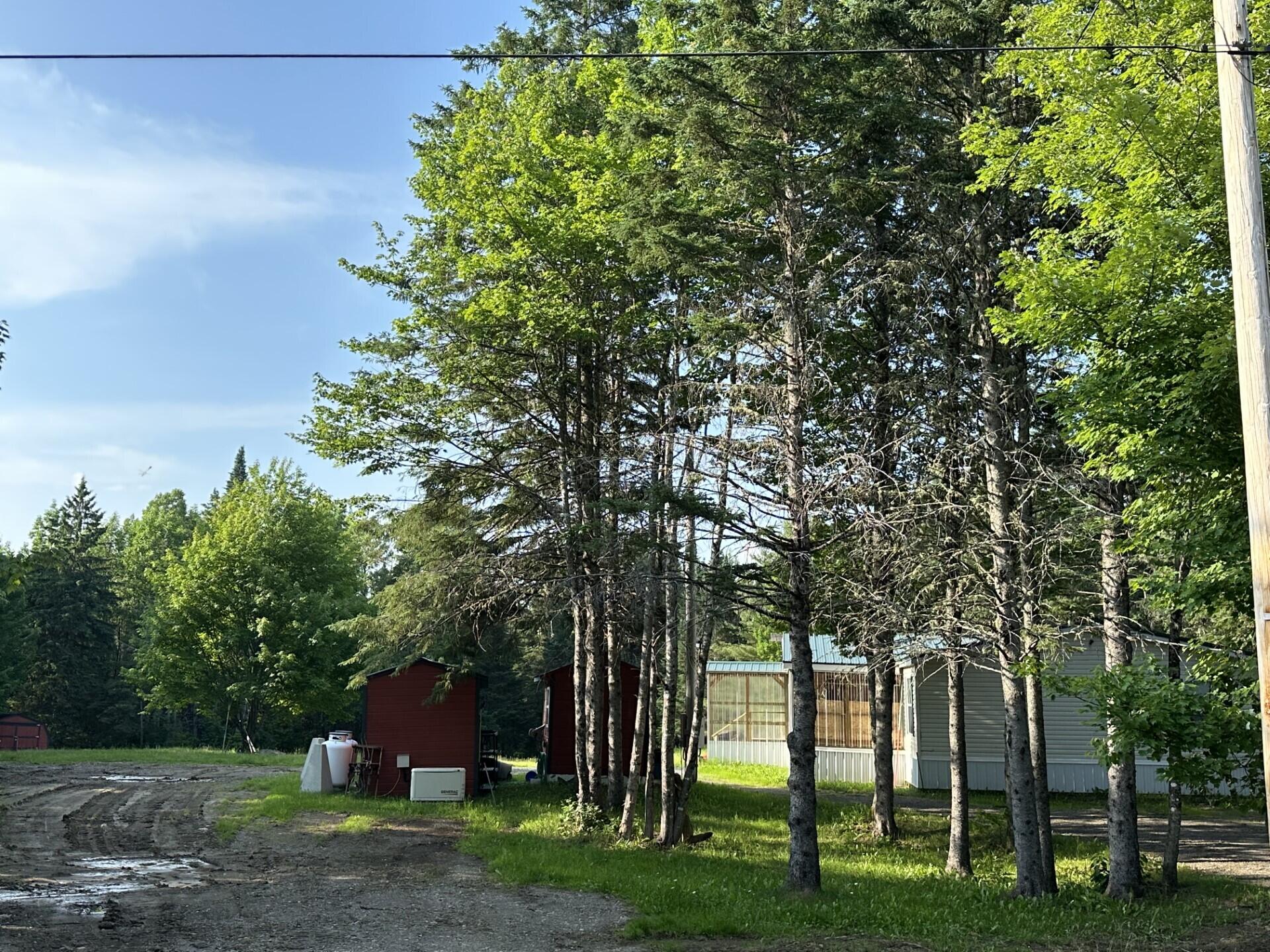 1343 B Road Hammond, ME 04730 - Photo 24 of 24 thumbnail_IMG_2015