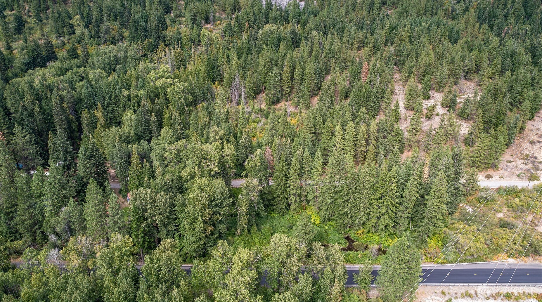 0 Nason Ridge Road Leavenworth, WA 98826 - Photo 2 of 9 a view of a yard