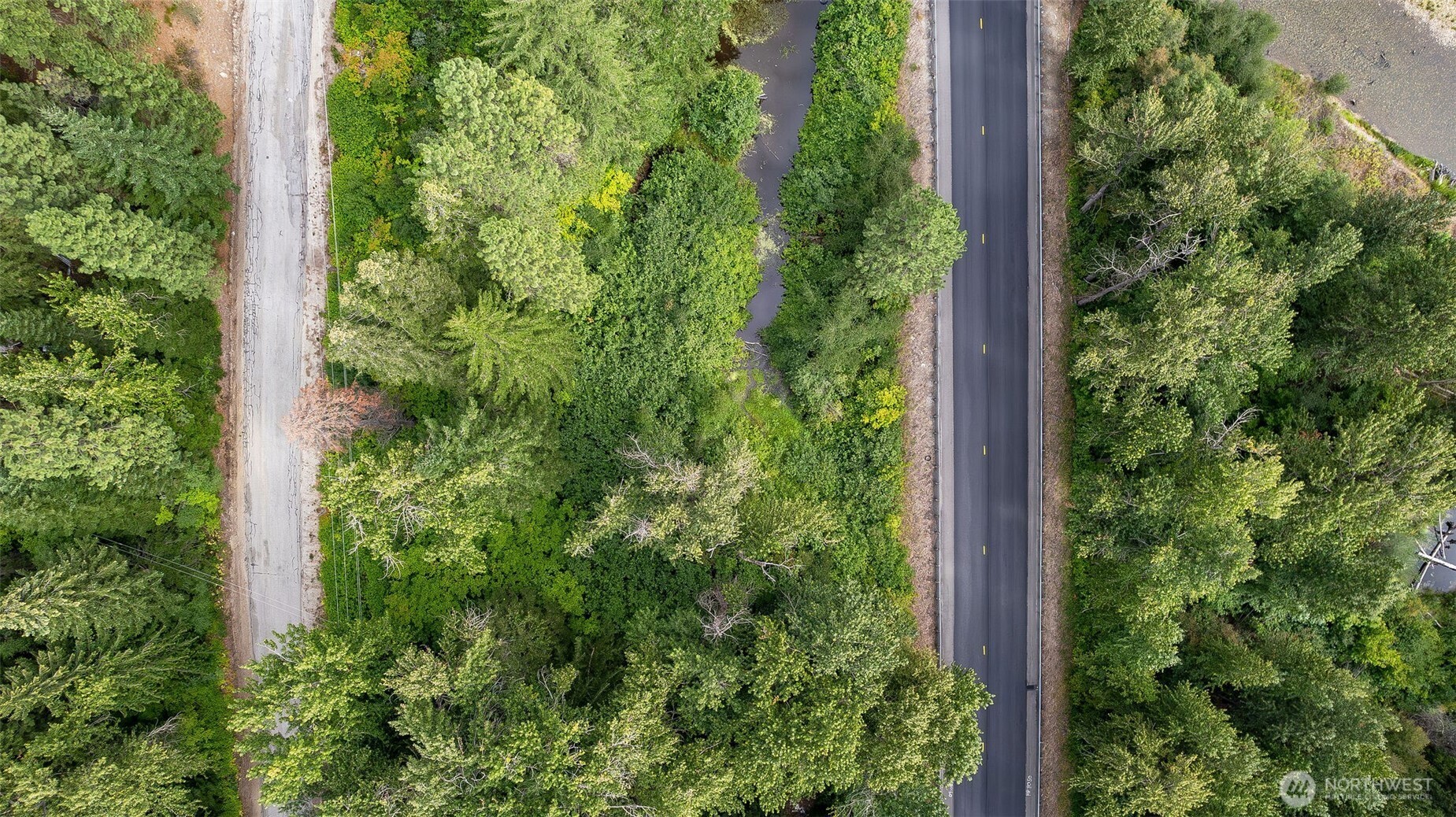 0 Nason Ridge Road Leavenworth, WA 98826 - Photo 4 of 9 a view of a garden with plants