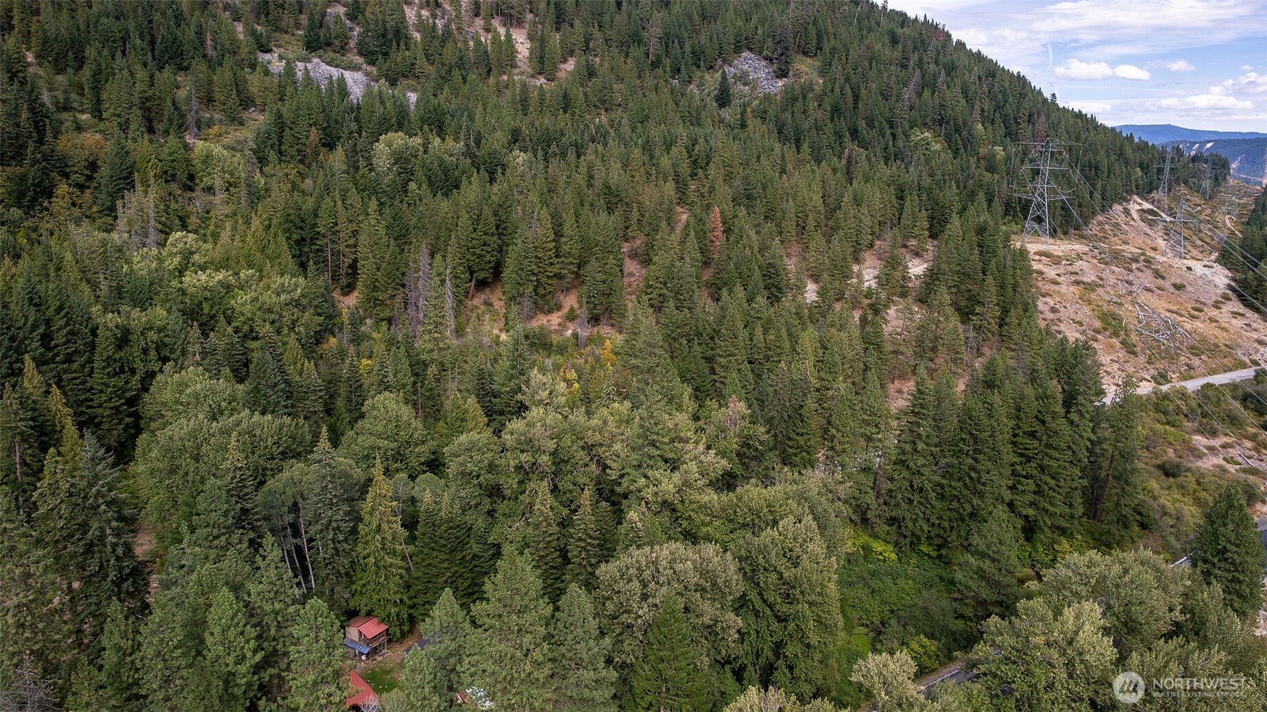 0 Nason Ridge Road Leavenworth, WA 98826 - Photo 9 of 9 a view of a lush green forest with lots of trees