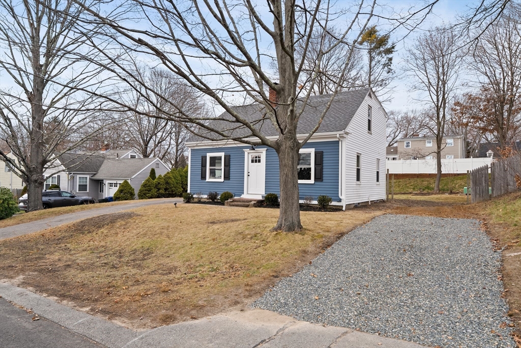 74 Magnolia Street Braintree, MA 02184 - Photo 4 of 35 a view of a yard with a large tree