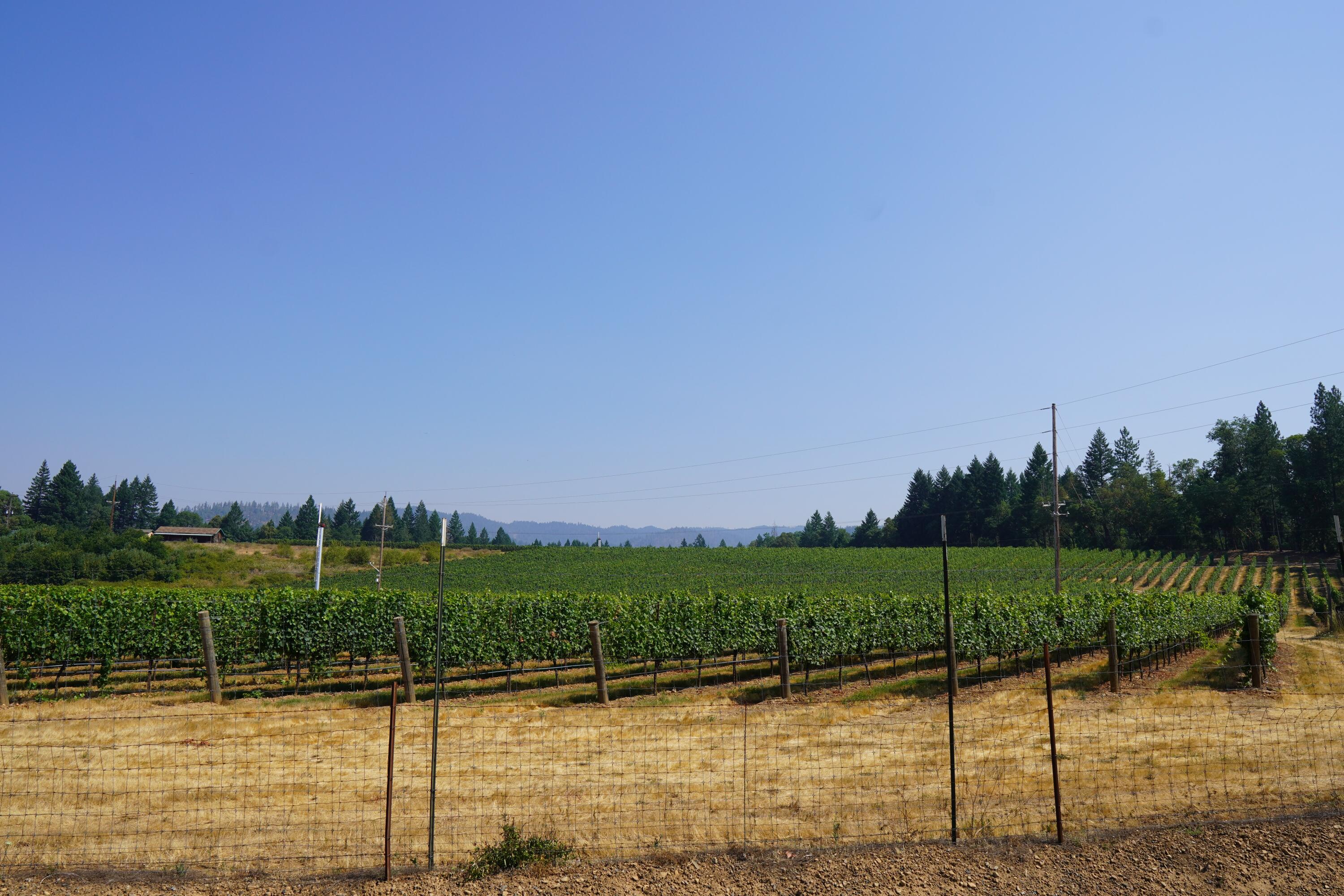 2789 Holland Loop Road Cave Junction, OR 97523 - Photo 21 of 25 DSC03684