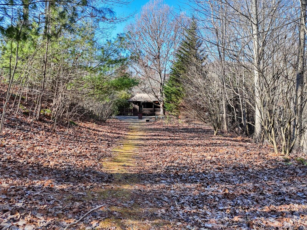 7493 Union Road West Young Harris, GA 30582 - Photo 63 of 69 Gallery Image 63