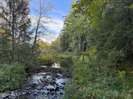 a view of a large yard with lots of trees