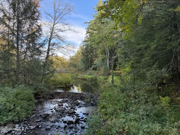 a view of a large yard with lots of trees