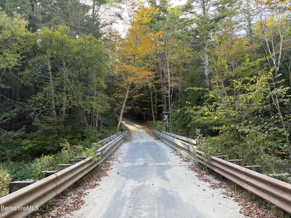 a view of a yard with a street