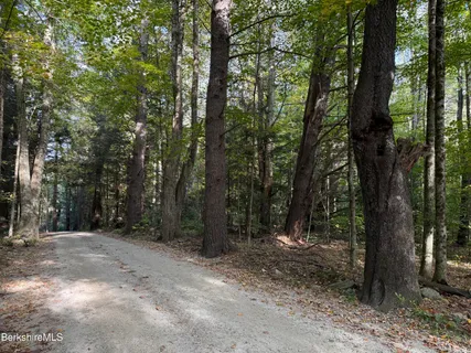 a view of outdoor space with lots of trees