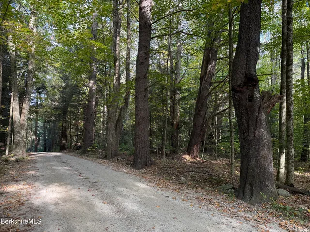 a view of outdoor space with lots of trees